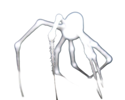 White spider 26 Meme Template