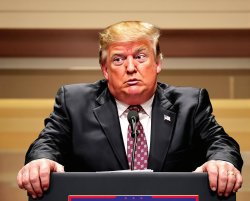 Trump confused senile dementia frontotemporal dementia Meme Template
