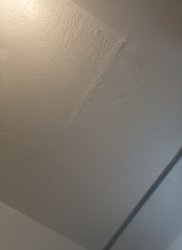 Our bathroom ceiling Meme Template