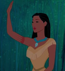 Pocahontas Meme Template