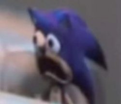 SONIC WTF BRO Meme Template