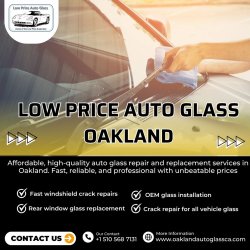 Low Price Auto Glass Oakland Meme Template