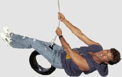David Hasselhoff Swing Meme Template