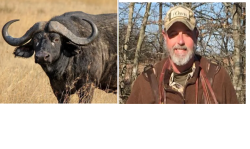 Big game hunter killed by buffalo Meme Template
