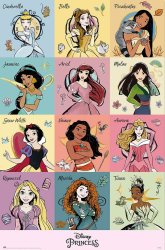 Disney Princess Poster Meme Template
