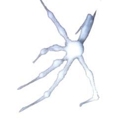 White Spider 27 Meme Template