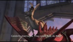 Shrek memes from Donkey Meme Template