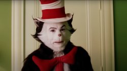 cat in the hat Meme Template
