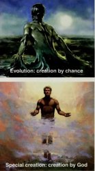 evolution special creation Meme Template