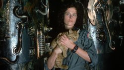 Aliens Ripley Jonesy The Cat Meme Template