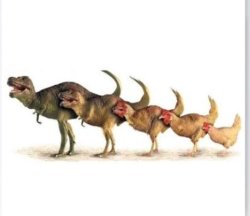Dinosaur species Meme Template