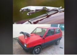 Jaguar want get Meme Template