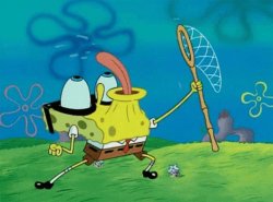 Spongebob Meme Template