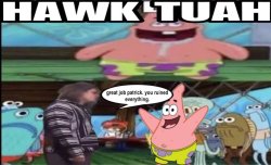 hawk tuah patrick Meme Template