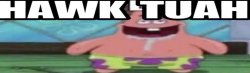 hawk tuah patrick v2 Meme Template
