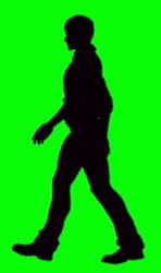Green screen walk guy Meme Template