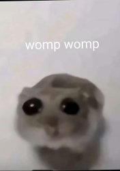 Womp womp Meme Template