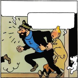 Tintin a agarrar Haddock irritado Meme Template