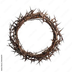 Crown of thorns Meme Template