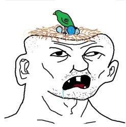 Wojak Dumb Meme Template