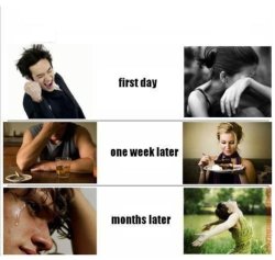 girls vs guys after breakup Meme Template
