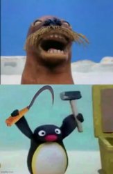 remember that pingu is not necessarily for kids! Meme Template