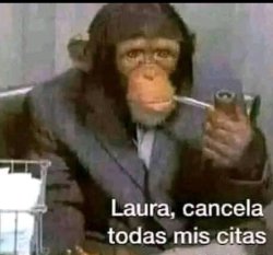 Chimp Freud Meme Template