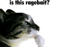 Is this ragebait? Meme Template