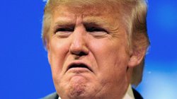 Trump Frown Meme Template