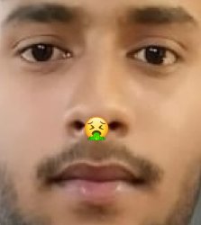 Simmi Meme Template