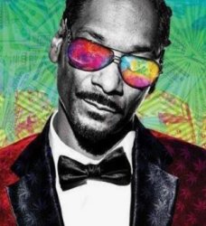 Snoop Meme Template