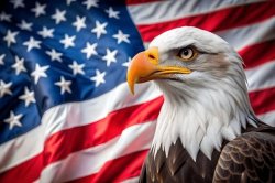 american eagle Meme Template