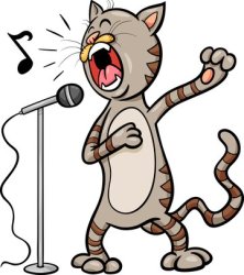 Singing cat Meme Template