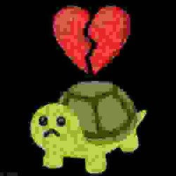 low quality hearbroken turtle Meme Template
