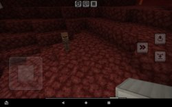 Villager out in nether Meme Template
