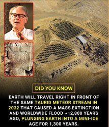 Mass Extinction or No Social Security Meme Template