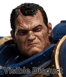 Visible Disgust Meme Template