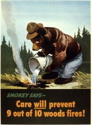 Smokey the bear Meme Template