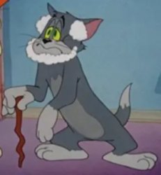 Old tom cat Meme Template