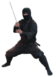 Ninja swordsman Meme Template