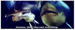 Humans think they own everything Meme Template