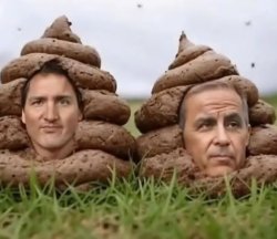 trudeau carney Meme Template