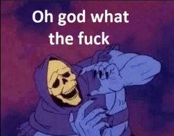 skeletor oh god wtf Meme Template