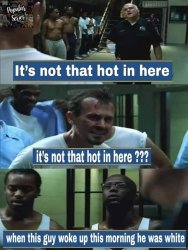 prison break tbag not that hot Meme Template
