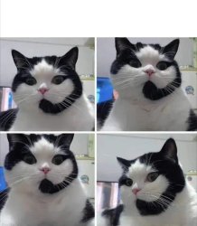 Telecom kitty Meme Template