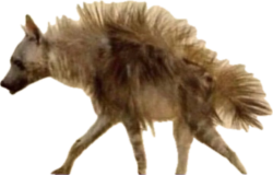 My Emotional Support Animal Meme Template