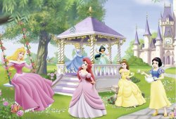Disney Princess Wallpaper Meme Template
