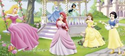 Six Disney Princesses Meme Template