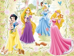 Disney Princesses (Fairy Tale Princess) Meme Template