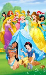Disney Princess Poster Meme Template